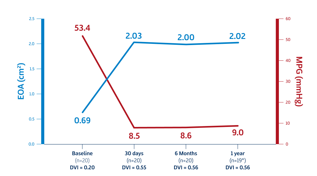 First‐In‐Human Data (1 Year)