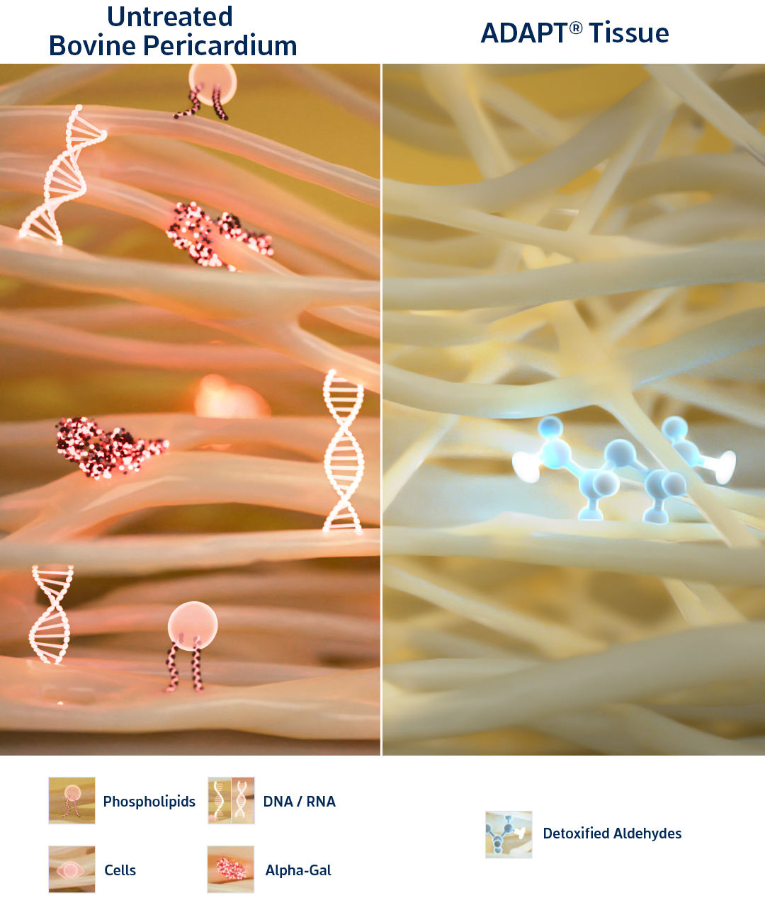 ADAPT® Tissue Process 