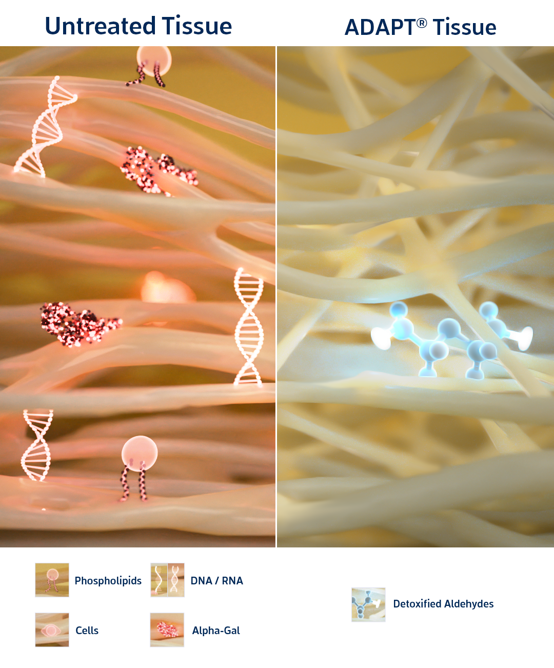 ADAPT® Tissue Process 